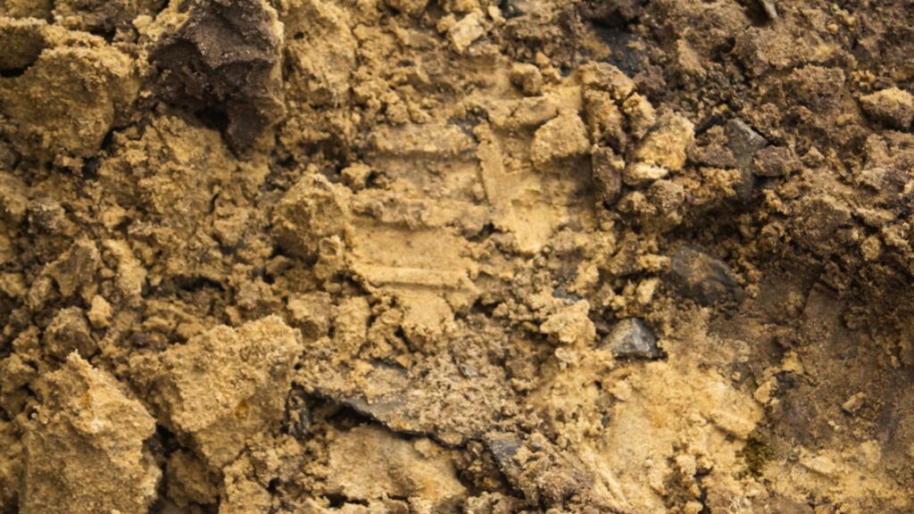 How Does Houston’s Clay Soil Impact My Home’s Foundation?