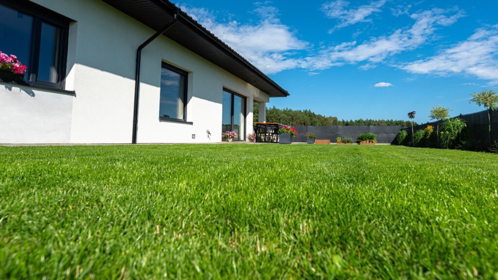 Will My Lawn Grow Back After Foundation Repair in Houston?