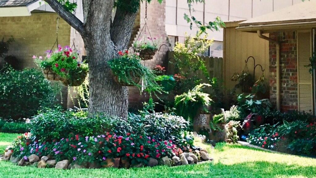 Can Trees Near My Home Cause Foundation Issues in Houston?