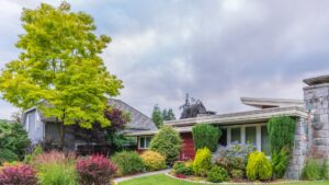 How Does Vegetation Near My Home Impact Long-Term Stability