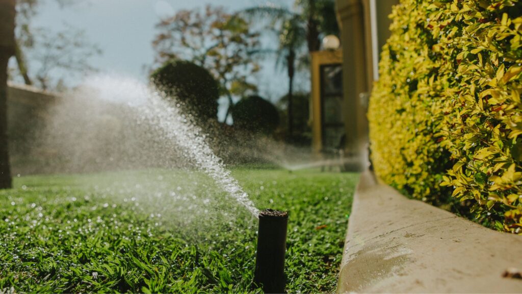 How Water Affects Your Foundation (And What Every Homeowner Should Know)
