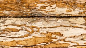 How Long Does a Pier and Beam Foundation Last